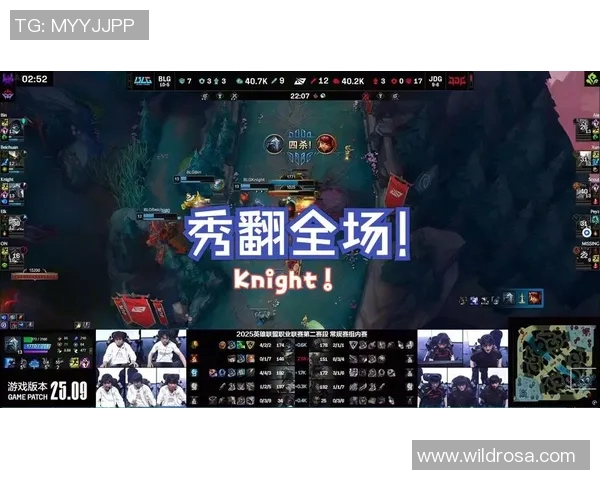 赛后分析:BLG与JDG对决中的战术博弈与策略思考